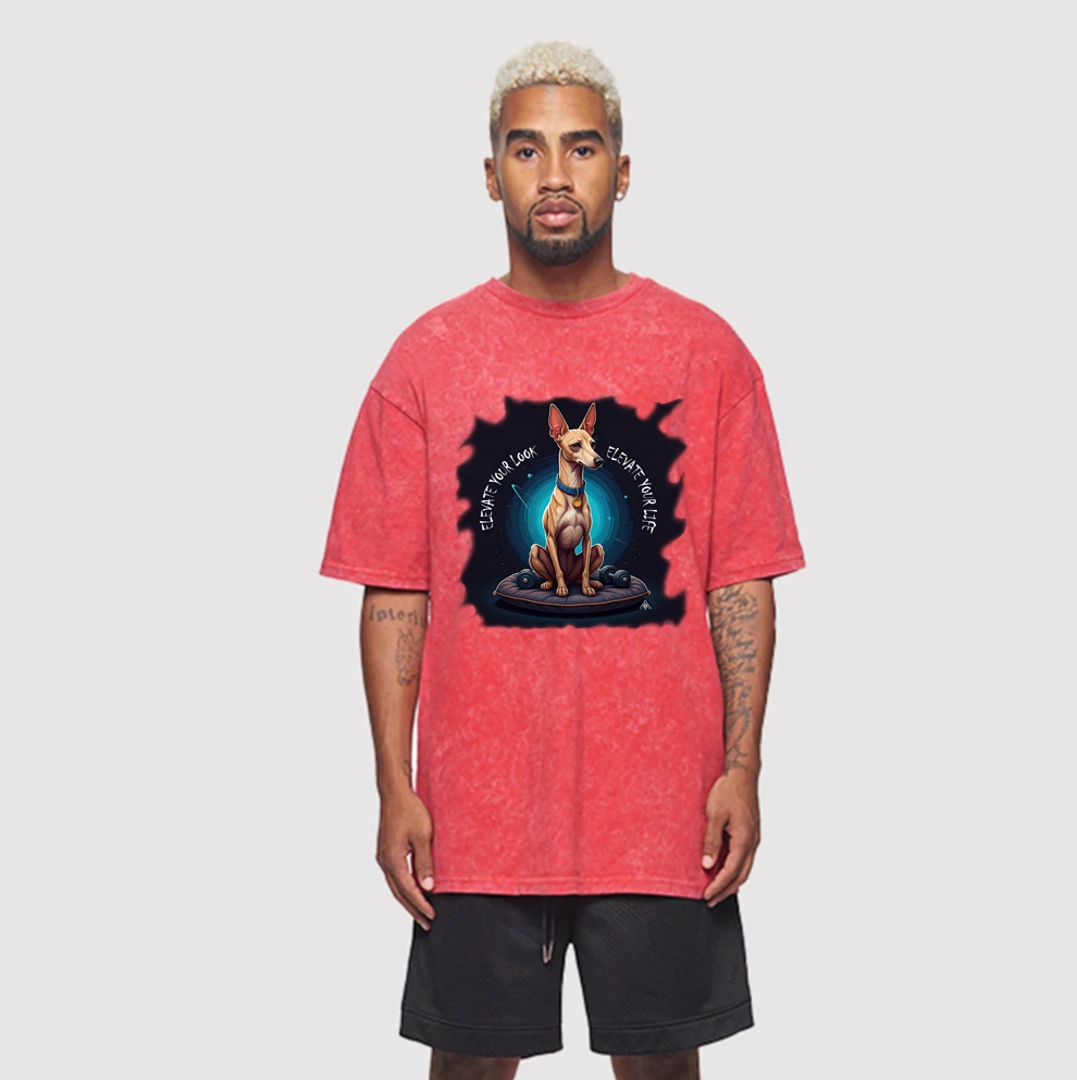 The Alpha Graphic Tee - Red
