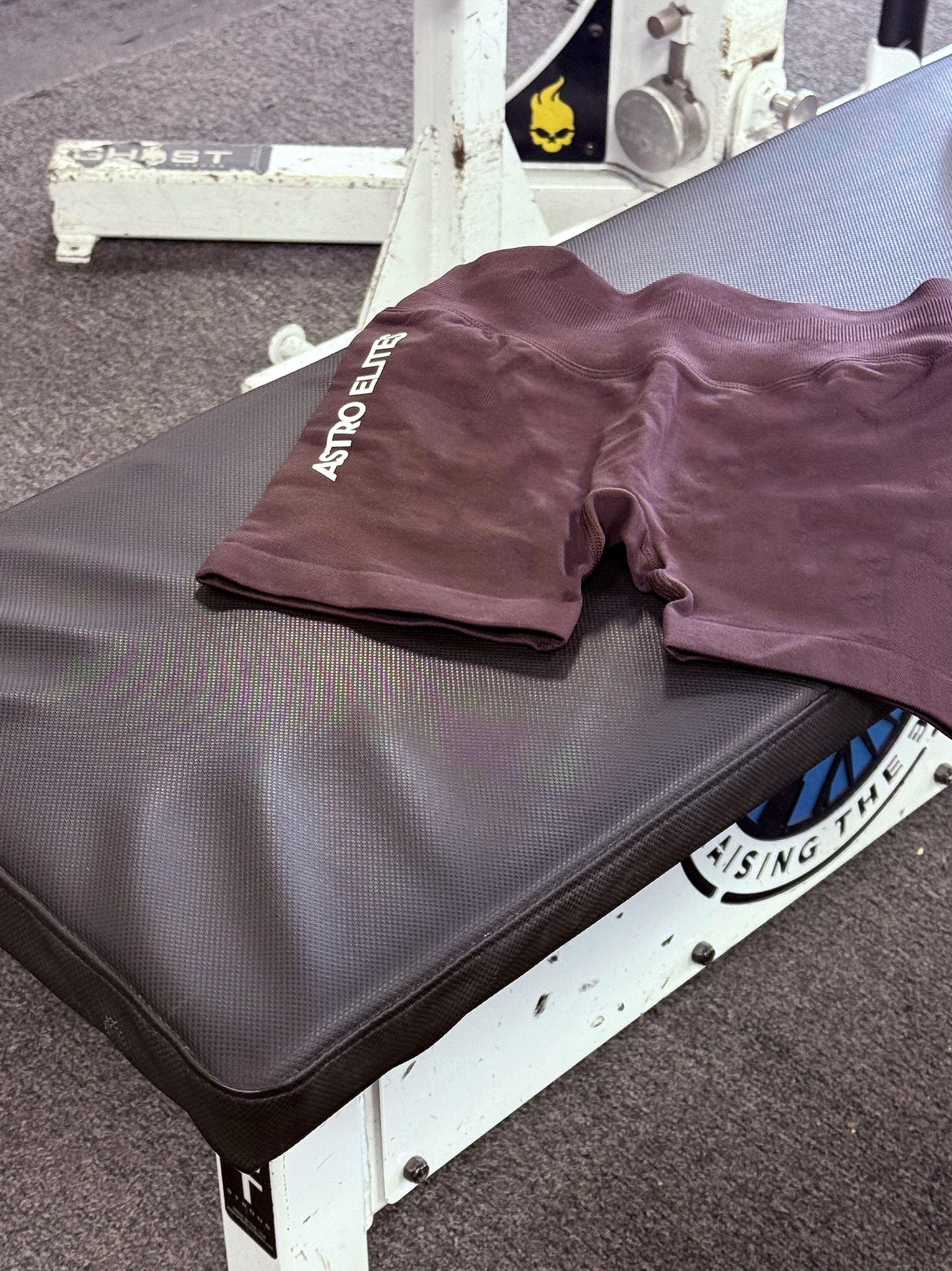 The Alpha Contour Shorts